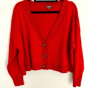 Wild Fable Red Sweater